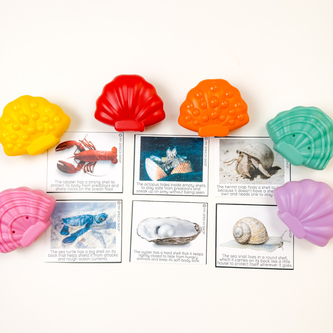 Ocean Emotion Seashells - Digital Companion