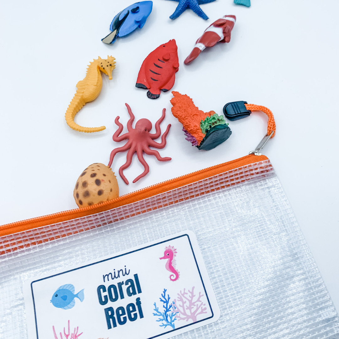 Type B SLP Ocean Bundle