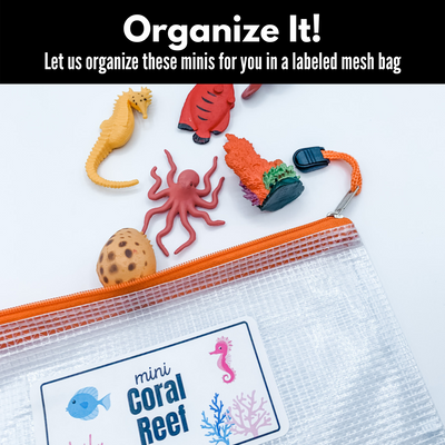 Coral Reef Minis