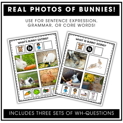 Hoppy Floppy's Happy Hunt - Companion