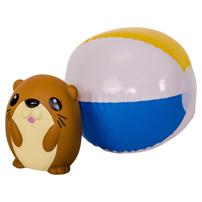 Pass the Ball with Ollie