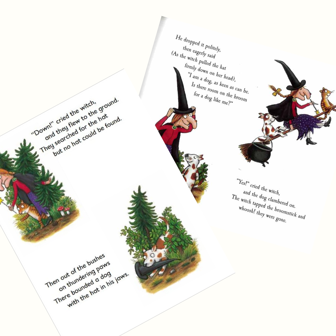 Room on the Broom book