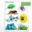 Bugs Minis