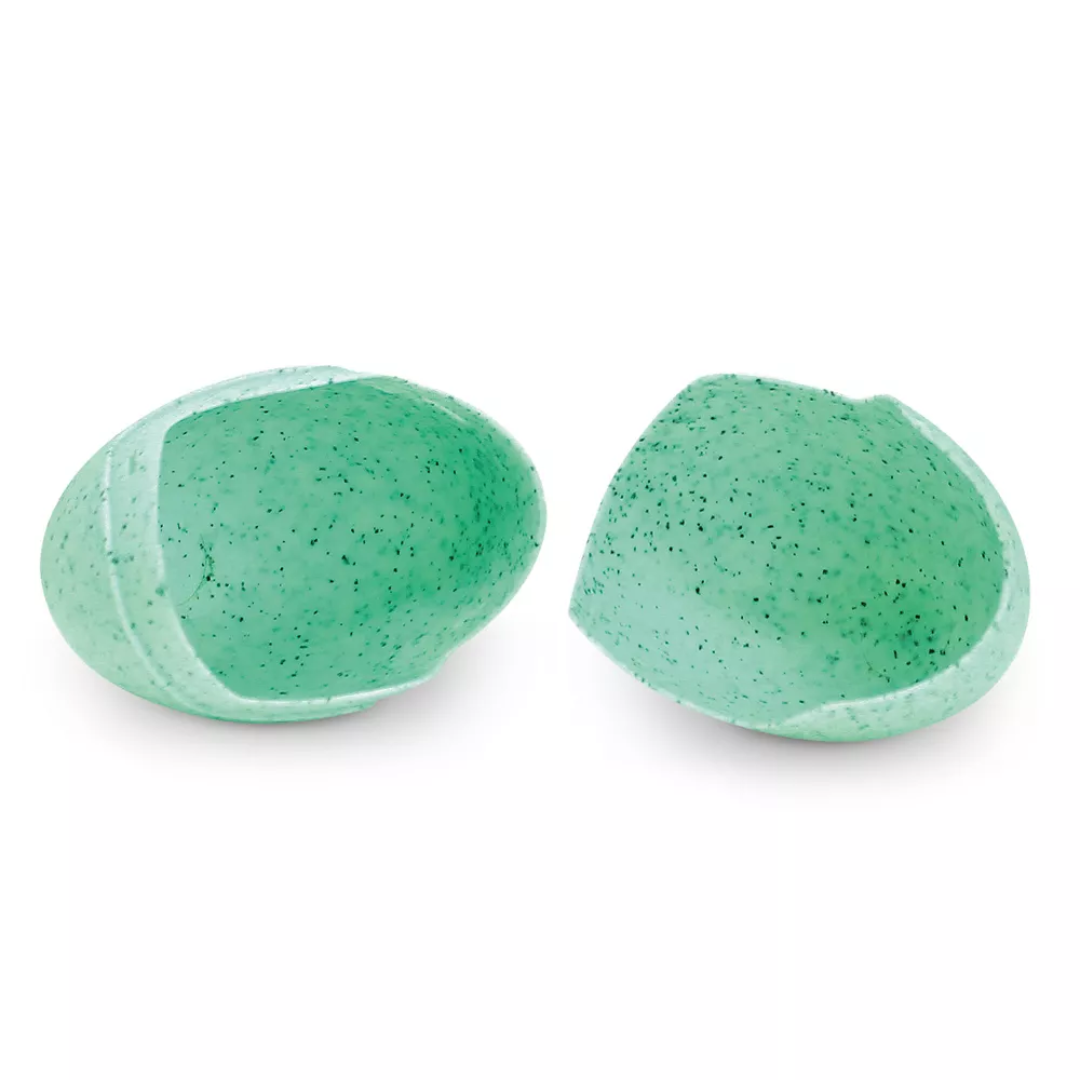 Discovery Eggs