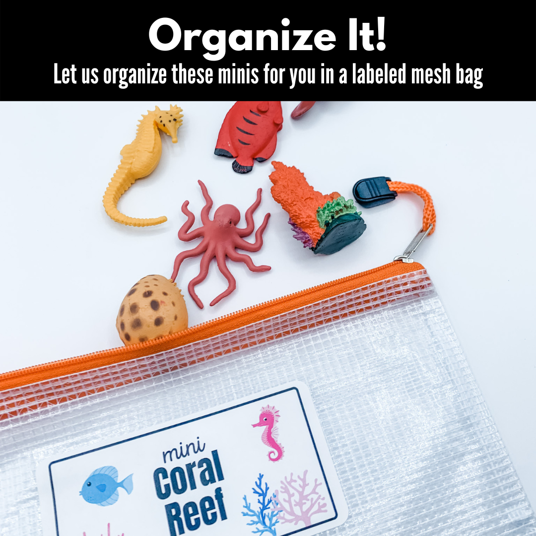 Coral Reef Minis