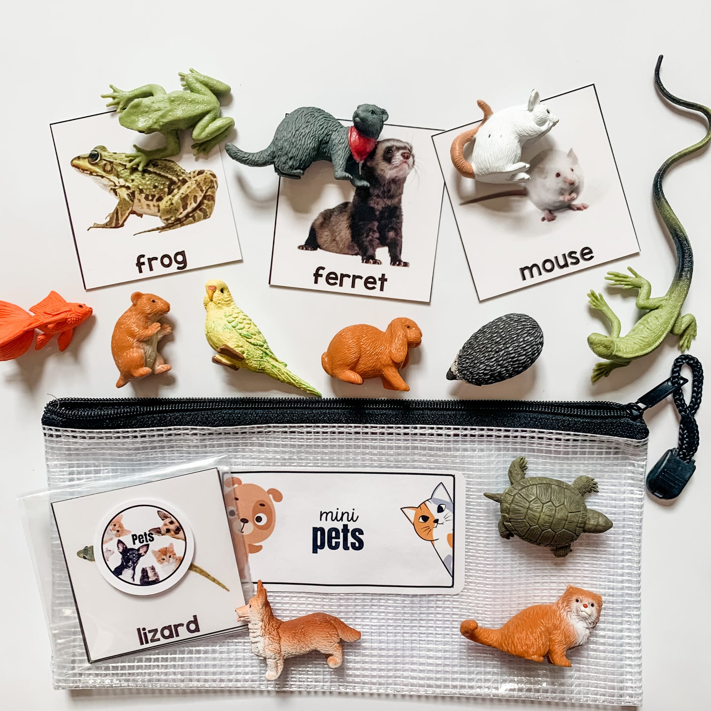 Type B SLP Pets Bundle